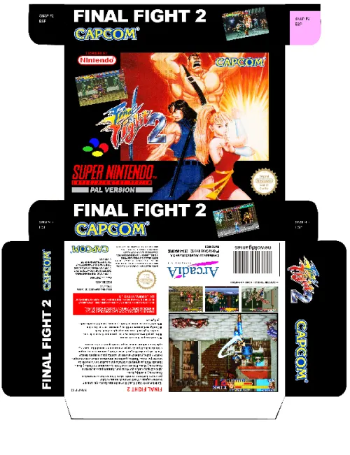 FINAL FIGHT 2