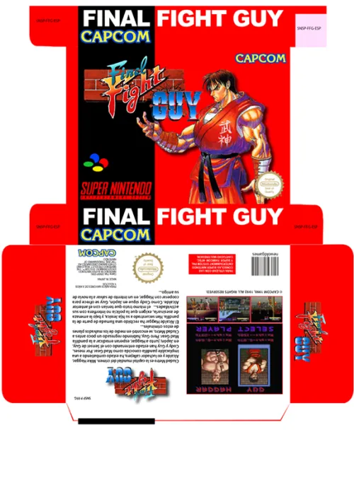 FINAL FIGHT GUY