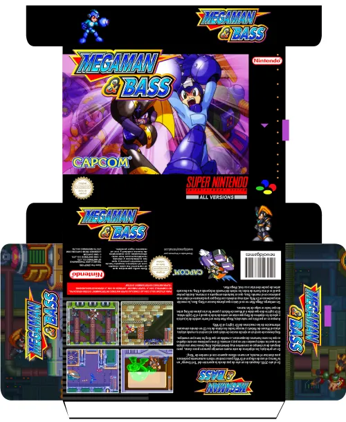 MEGAMAN & BASS