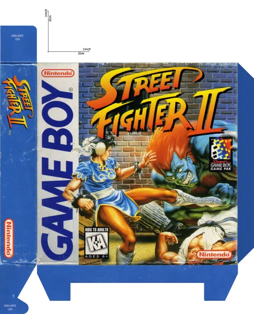 STREET FIGHTER 2 USA A4 escaneos